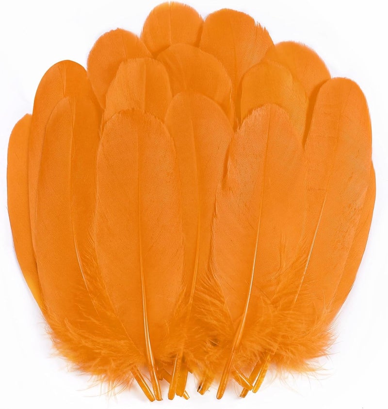 Holmgren Orange Goose Feathers Bulk - 200pcs 5-7inch Big Goose Feather Bulk for DIY Crafts Mask Hatband Wing Costume Accessories and Halloween Party Home Decorations (Orange) - Image 1